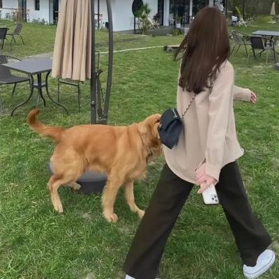 我的鲛人弟弟